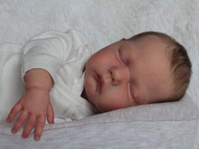 Load image into Gallery viewer, 19 Inch Lifelike Reborn Baby Dolls Marley Cloth Body Lovely Realistic Newborn Baby Doll  Adorable Baby Dolls