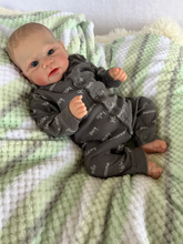 Load image into Gallery viewer, 17 inch Lovely Lifelike Reborn Baby Dolls Elijah Cloth Body Adorable Cuddly Realistic Newborn Baby Doll Xmas Birthday Gift