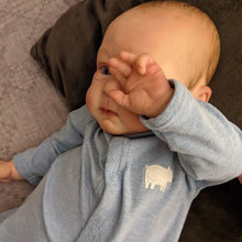 Carregar imagem no visualizador da galeria, Weighted Reborn Toddlers Boy 23 Inch Soft Silicone Reborn Baby Dolls Realistic Newborn Baby Dolls That Look Real