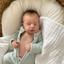Cargar imagen en el visor de la galería, LouLou 20 Inch Full Limbs Vinyl Reborn Baby Dolls Hand-Rooted Hair &amp; Exquisite Hand-Painting | Poseable Full Limbs, 50cm Collector Edition
