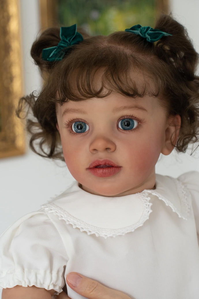 Lifelike Reborn Baby Dolls That Look Real 26 Inch Reborn Toddler Dolls Realistic Baby Dolls Girl Weighted Body Silicone Newborn Baby Poseable Art Collection Dolls Birthday Gift