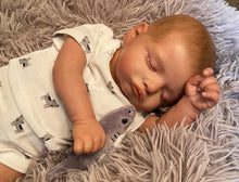 Carregar imagem no visualizador da galeria, 20 inch Realistic Reborn Baby Dolls Cloth Body Silicone Newborn Baby Doll Girl Sleeping Lovely Baby Dolls Gift
