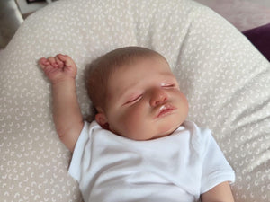 20 Inch Realistic Reborn Baby Doll Weighted Cloth Body Silicone Newborn Baby Doll Girl That Looks Real